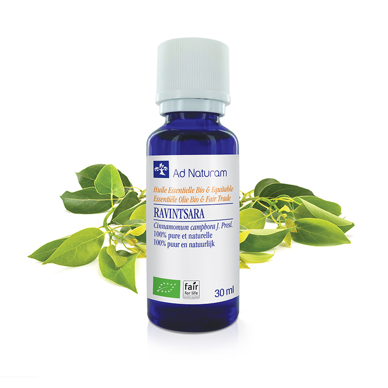 25986_Huile_Essentielle_RAVINSTARA_30ml Huile essentielle BIO de Ravintsara Ad Naturam Propriétés et bénéfices