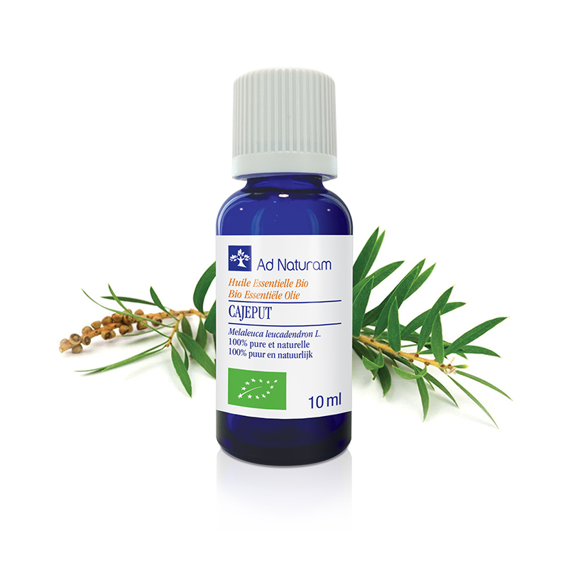 28640_Huile_Essentielle_CAJEPUT_10ml Huile essentielle de Cajeput BIO Ad Naturam propriétés et bénéfices