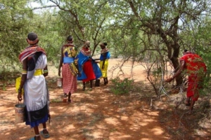 Encens-Kenyan