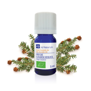 Huile essentielle de Pruche BIO Ad Naturam propriétés et bénéfices